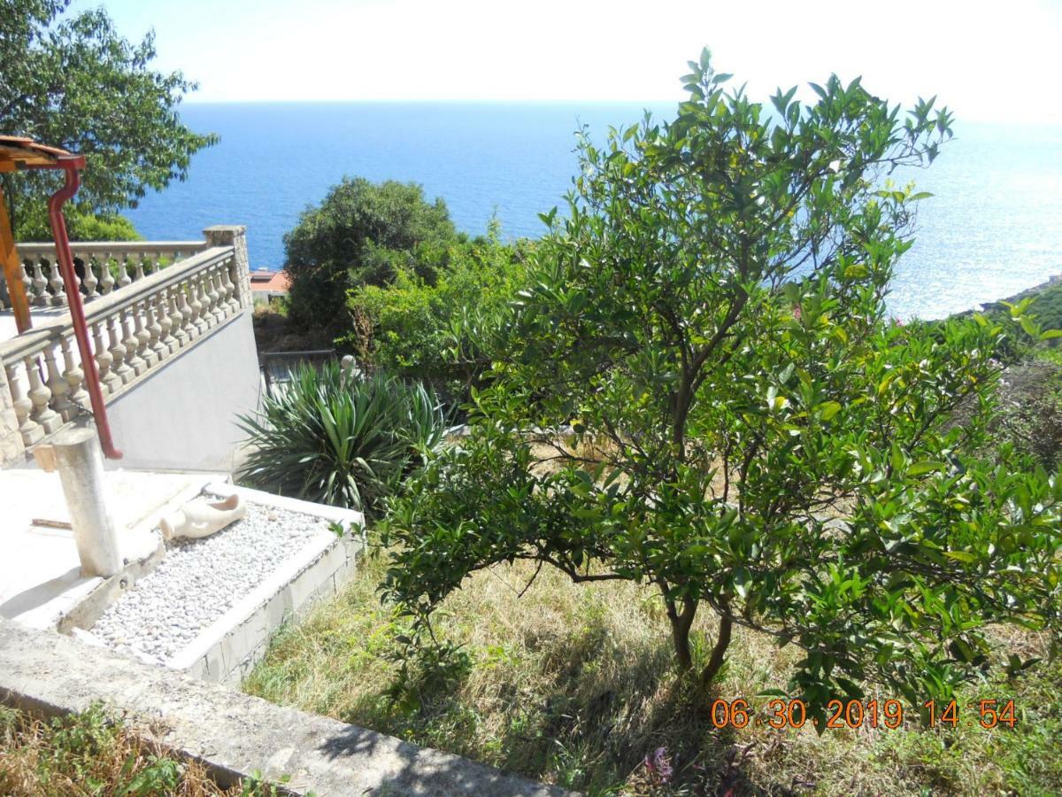 Apartamento Blue Horizon Dobra Voda Exterior foto